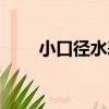 小口徑水表（關于小口徑水表簡介）