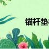 錨桿墊板施工照片（錨桿墊板）