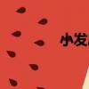 小發屋（關于小發屋簡介）