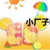 小廠子村（關于小廠子村簡介）