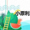 小原利之（關于小原利之簡介）