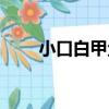 小口白甲魚（關于小口白甲魚簡介）