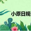 小原日規殼（關于小原日規殼簡介）