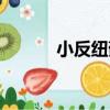 小反紐蘚（關于小反紐蘚簡介）