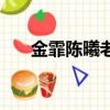 金霏陳曦老家（金霏陳曦是哪個社的）