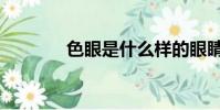 色眼是什么樣的眼睛(色眼)