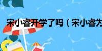 宋小睿開學了嗎(宋小睿為什么不用上學)