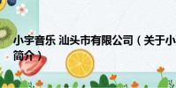 小宇音樂 汕頭市有限公司(關于小宇音樂 汕頭市有限公司簡介)