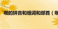 啪的拼音和組詞和部首(啪的拼音和組詞)