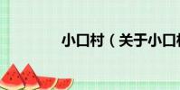 小口村(關于小口村簡介)
