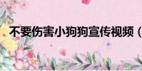 不要傷害小狗狗宣傳視頻(不要傷害小狗)