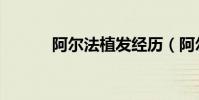 阿爾法植發經歷(阿爾法植發)