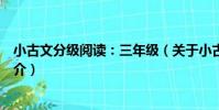 小古文分級閱讀:三年級(關于小古文分級閱讀:三年級簡介)