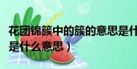 花團錦簇中的簇的意思是什么(花團錦簇的簇是什么意思)