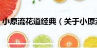 小原流花道經典(關于小原流花道經典簡介)