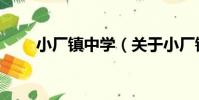 小廠鎮中學(關于小廠鎮中學簡介)
