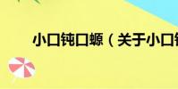 小口鈍口螈(關于小口鈍口螈簡介)