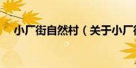 小廠街自然村(關于小廠街自然村簡介)