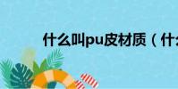 什么叫pu皮材質(什么叫pu皮)