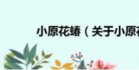 小原花蝽(關于小原花蝽簡介)