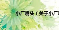小廠嘴頭(關于小廠嘴頭簡介)