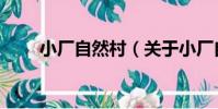 小廠自然村(關于小廠自然村簡介)