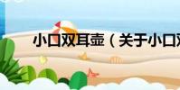 小口雙耳壺(關于小口雙耳壺簡介)