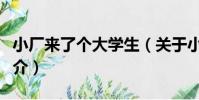 小廠來了個大學生(關于小廠來了個大學生簡介)