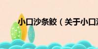 小口沙條鮫(關于小口沙條鮫簡介)