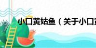 小口黃姑魚(關于小口黃姑魚簡介)