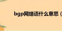 bgp網絡語什么意思(bgp網絡)