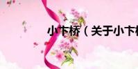 小卞橋(關于小卞橋簡介)