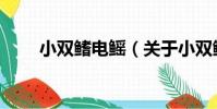 小雙鰭電鰩(關于小雙鰭電鰩簡介)