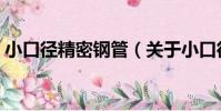 小口徑精密鋼管(關于小口徑精密鋼管簡介)