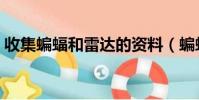收集蝙蝠和雷達的資料(蝙蝠和雷達的資料)