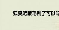狐臭吧腋毛刮了可以嗎(狐臭吧)