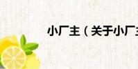 小廠主(關于小廠主簡介)
