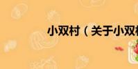 小雙村(關于小雙村簡介)