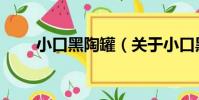 小口黑陶罐(關于小口黑陶罐簡介)