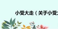 小受大走(關于小受大走簡介)