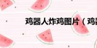 雞器人炸雞圖片(雞器人炸雞)