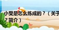 小受是怎么練成的?(關于小受是怎么練成的?簡介)