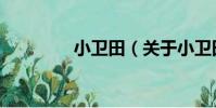 小衛田(關于小衛田簡介)