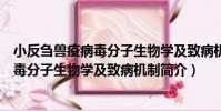 小反芻獸疫病毒分子生物學及致病機制(關于小反芻獸疫病毒分子生物學及致病機制簡介)