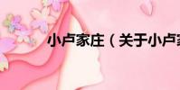 小盧家莊(關于小盧家莊簡介)