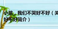 小孩,我們不哭好不好(關于小孩,我們不哭好不好簡介)