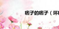 痞子的痞子(壞痞子)