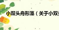 小雙頭舟形藻(關于小雙頭舟形藻簡介)