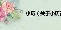 小歷(關于小歷簡介)