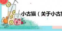 小古貓(關于小古貓簡介)